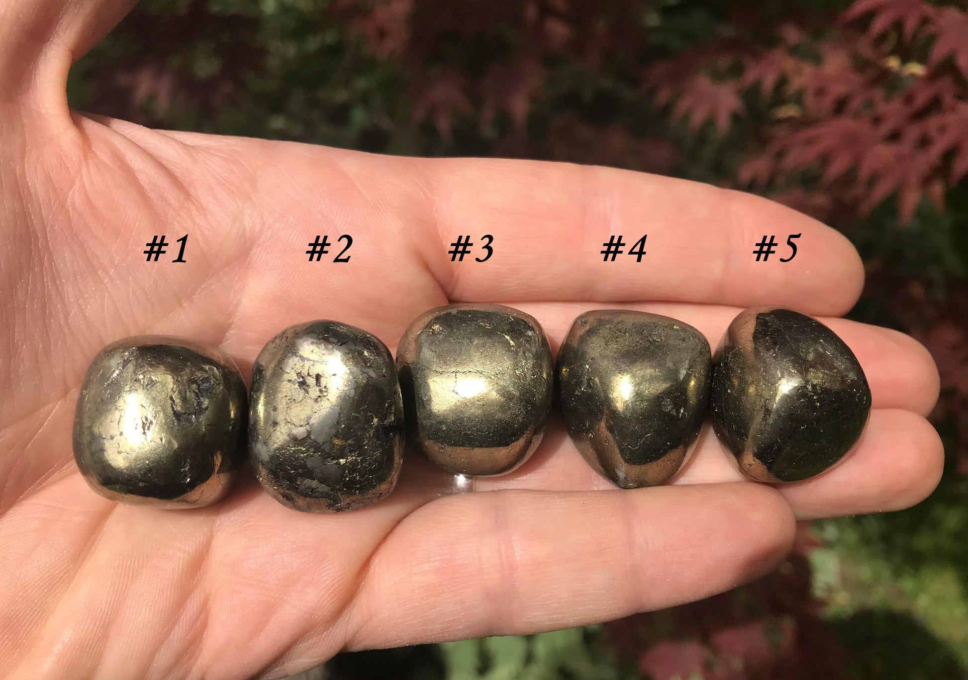 Chalcopyrite - Gem Realm 