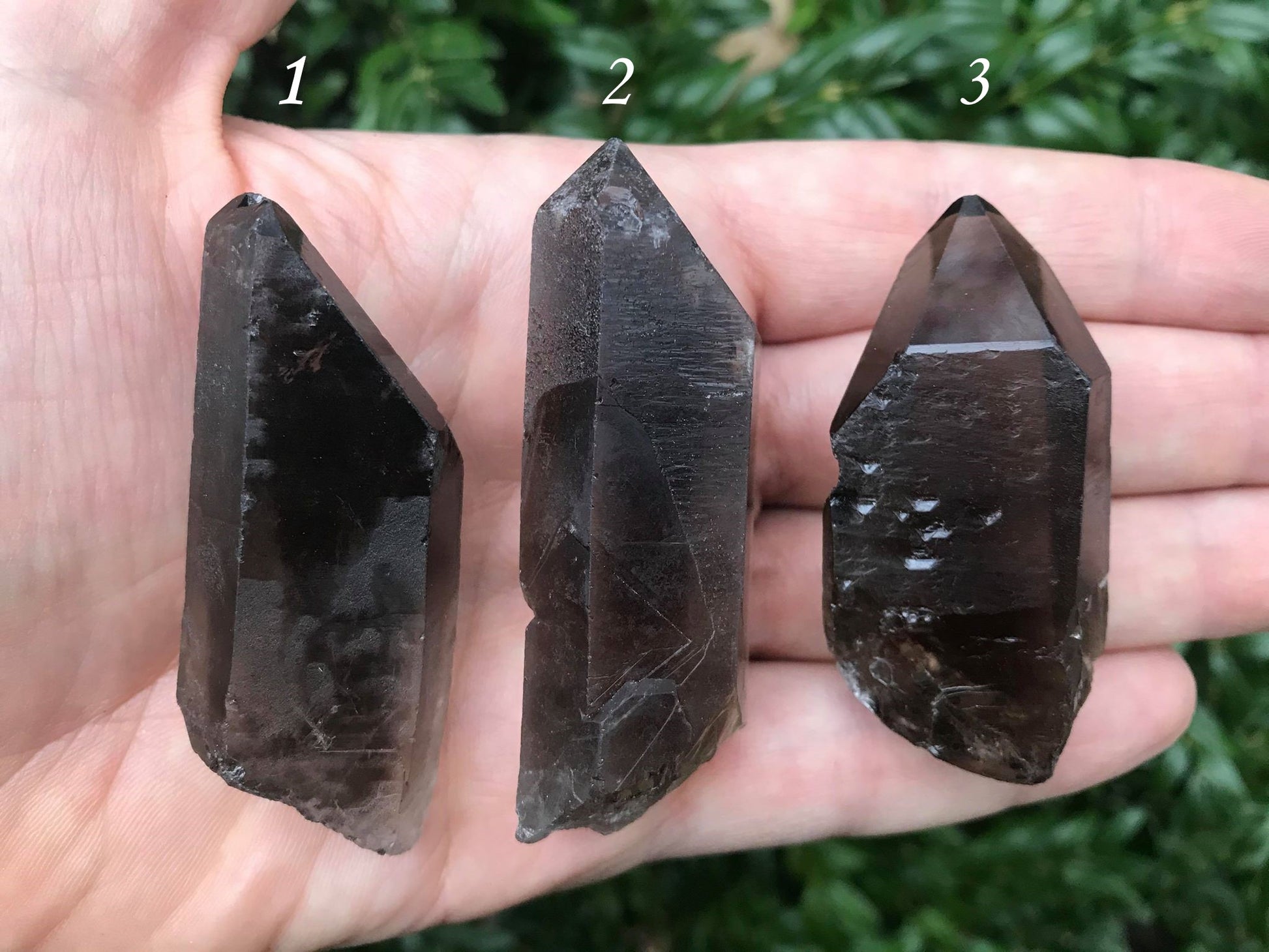Smoky Quartz Points - Gem Realm 