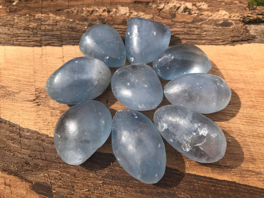 Celestite ~ Medium ~ Large - Gem Realm 