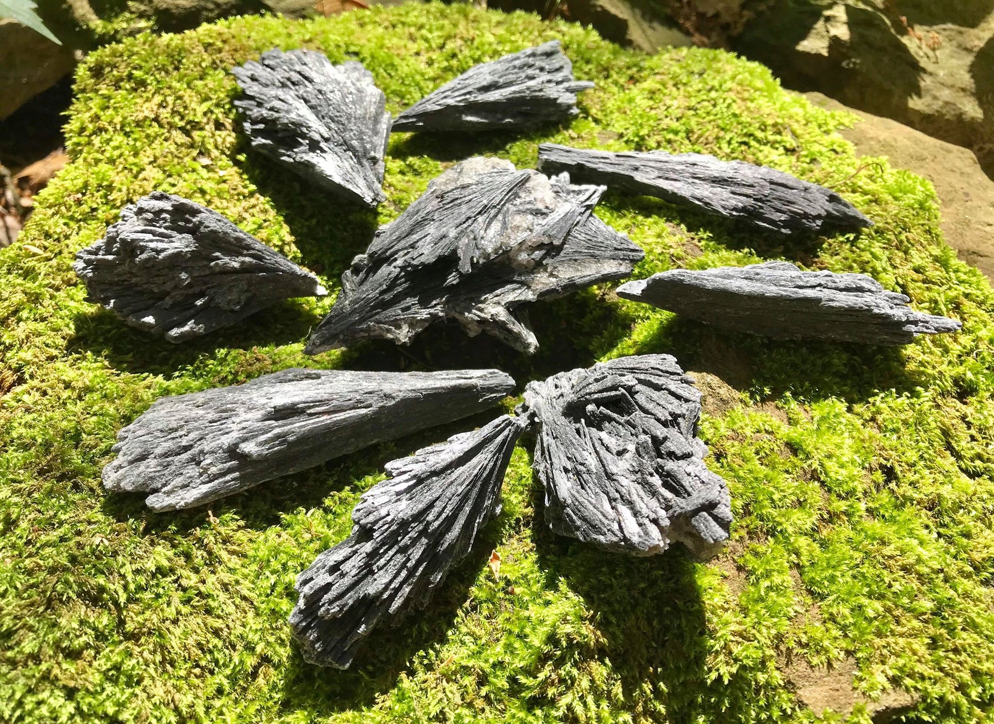 Black Kyanite Specimens - Gem Realm 