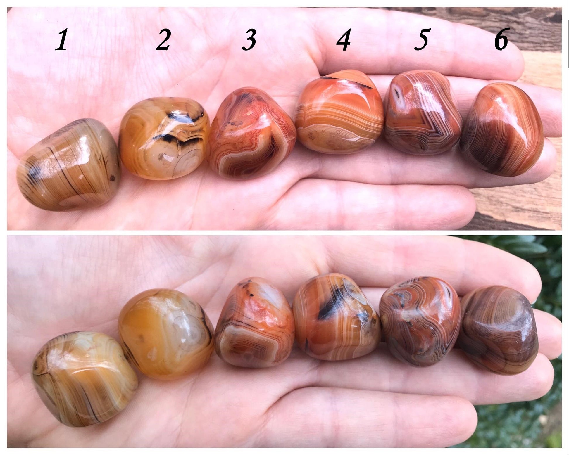 Madagascar Banded Agate Palm Stones ~ Small - Gem Realm 