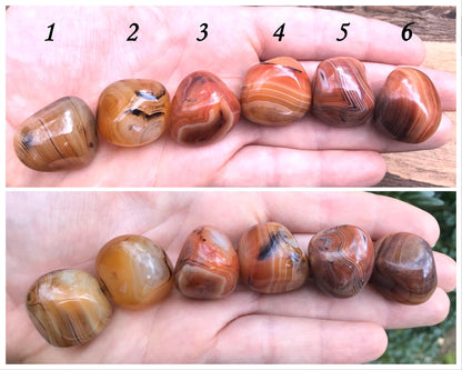 Madagascar Banded Agate Palm Stones ~ Small - Gem Realm 