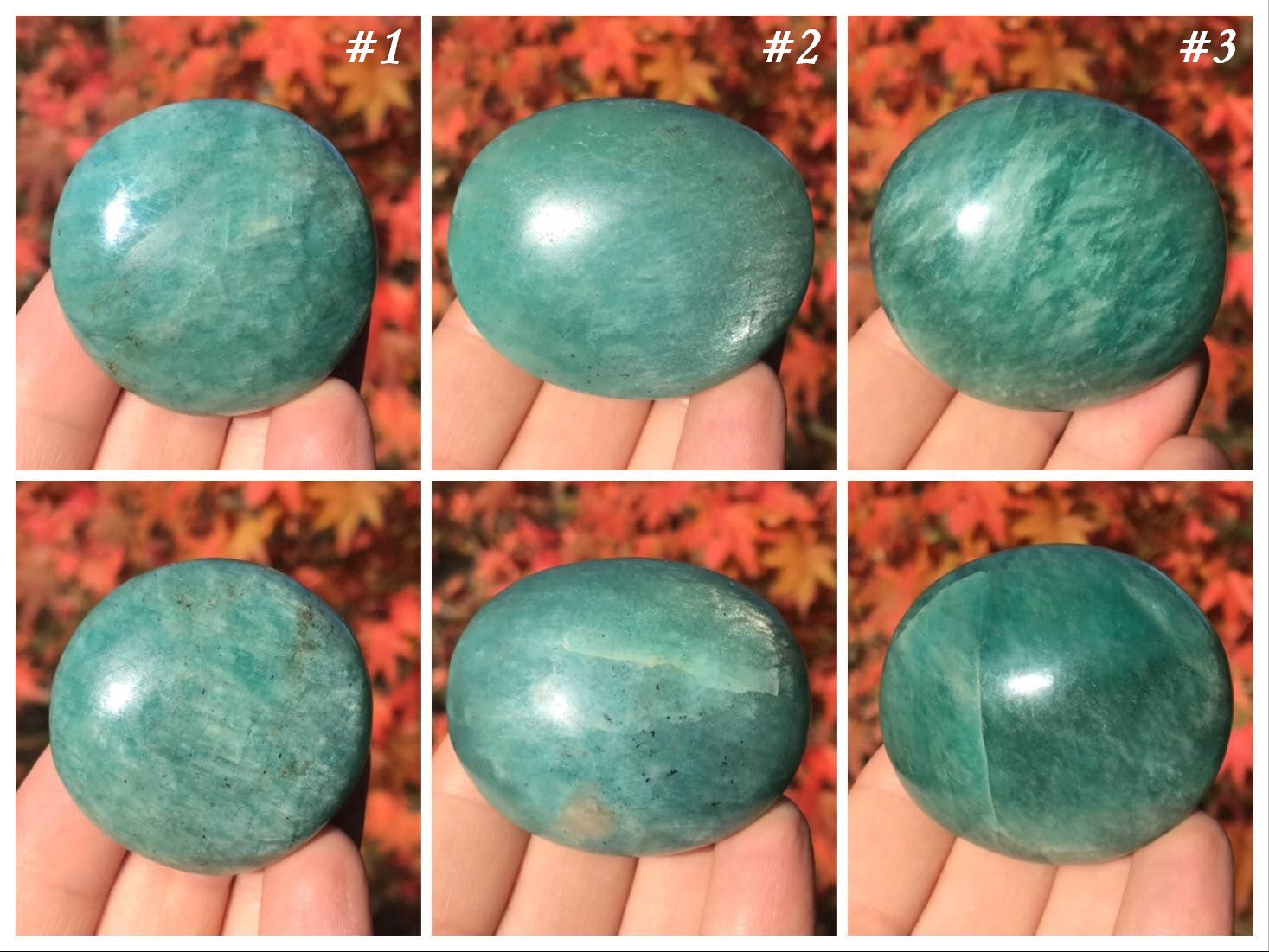 Amazonite Palm Stones - Gem Realm 