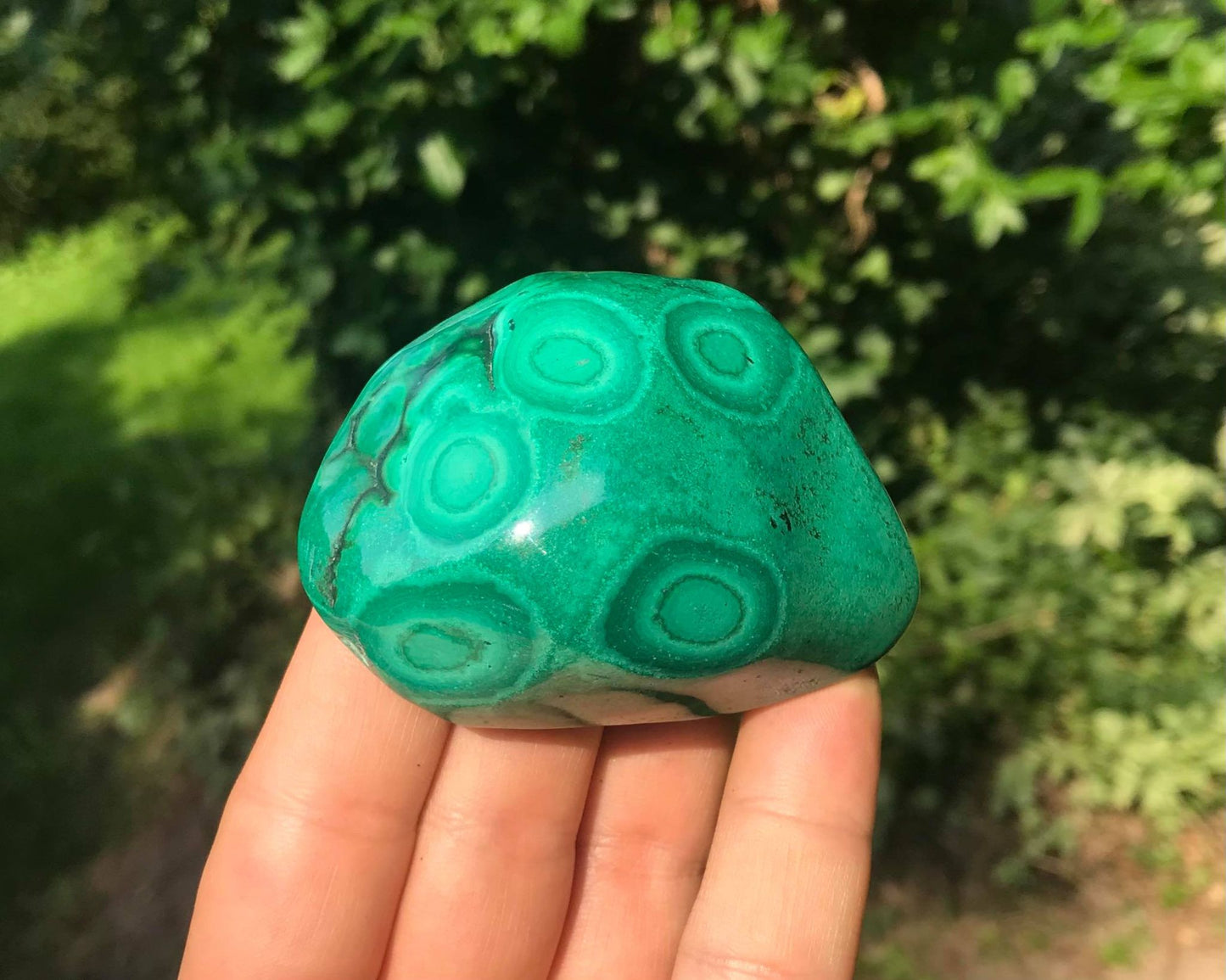 Malachite ~ Polished Specimen Freeform