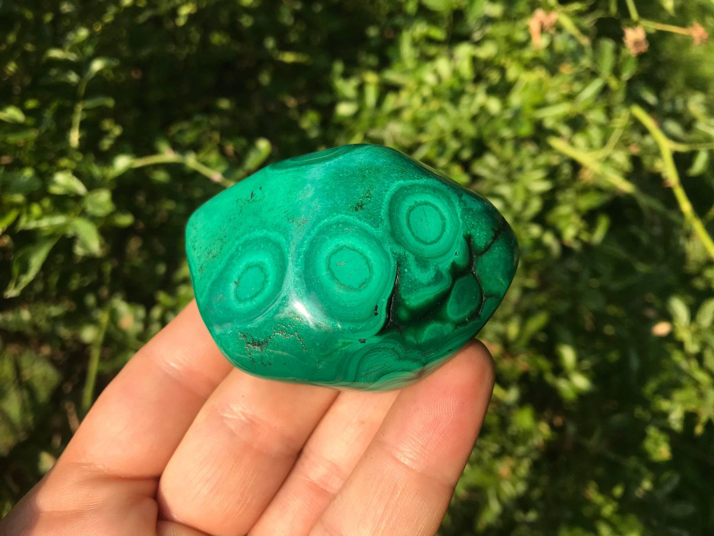 Malachite ~ Polished Specimen Freeform