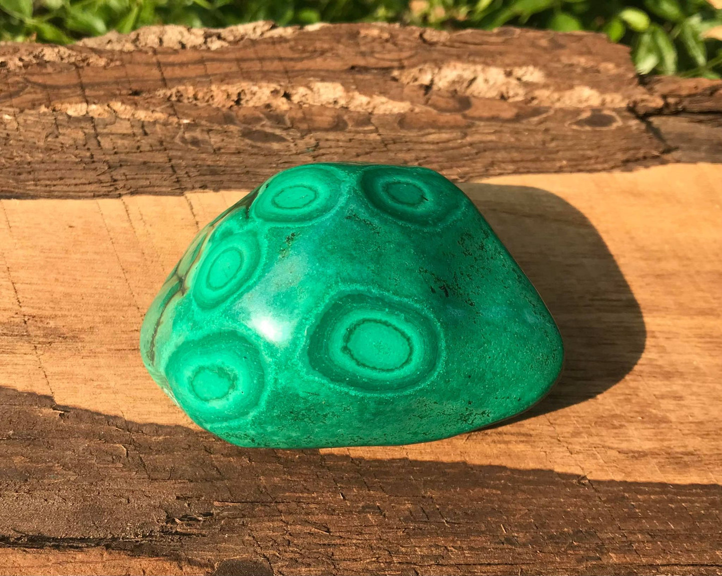 Malachite ~ Polished Specimen Freeform