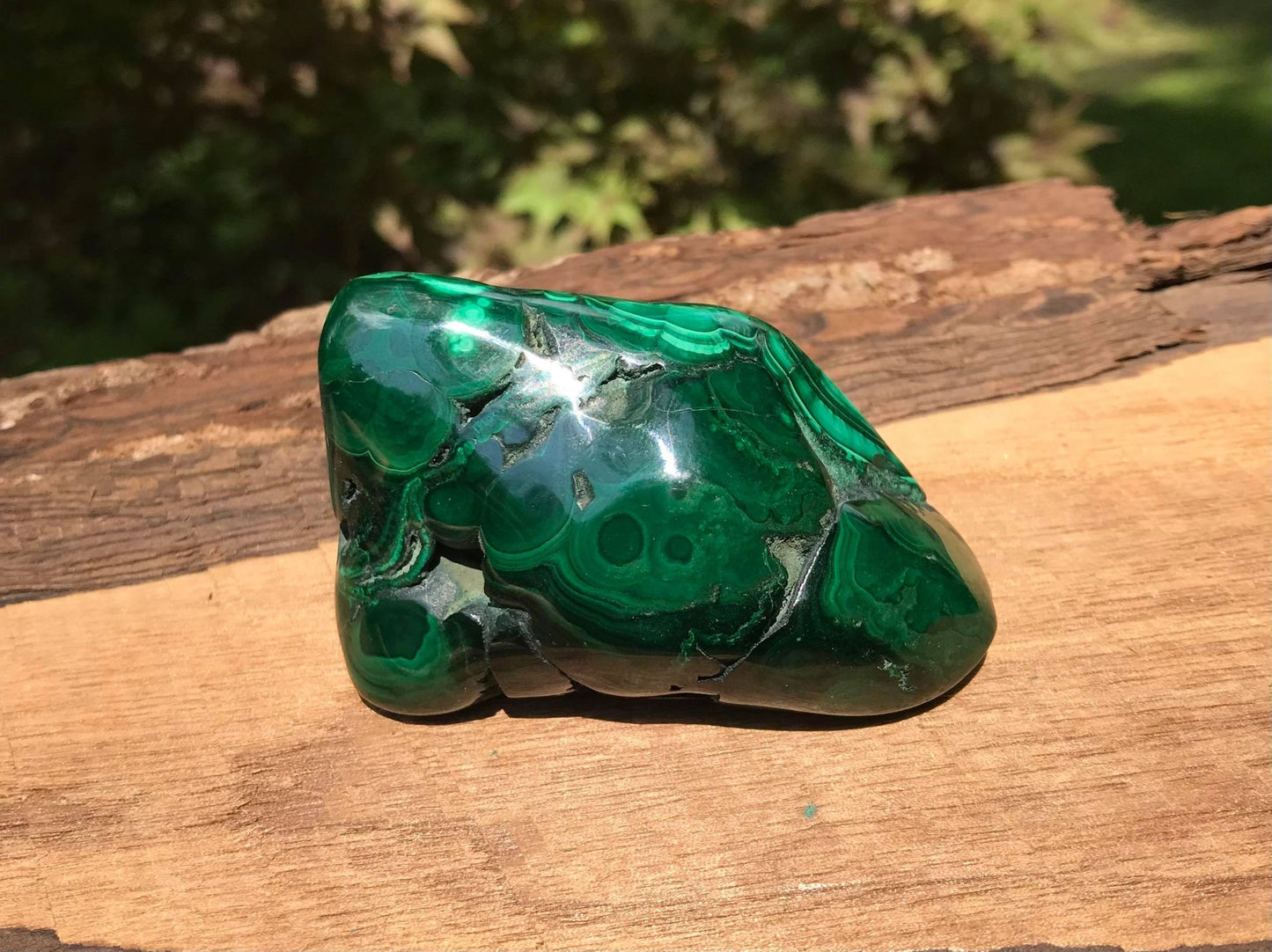 Malachite ~ Polished Specimen Freeform