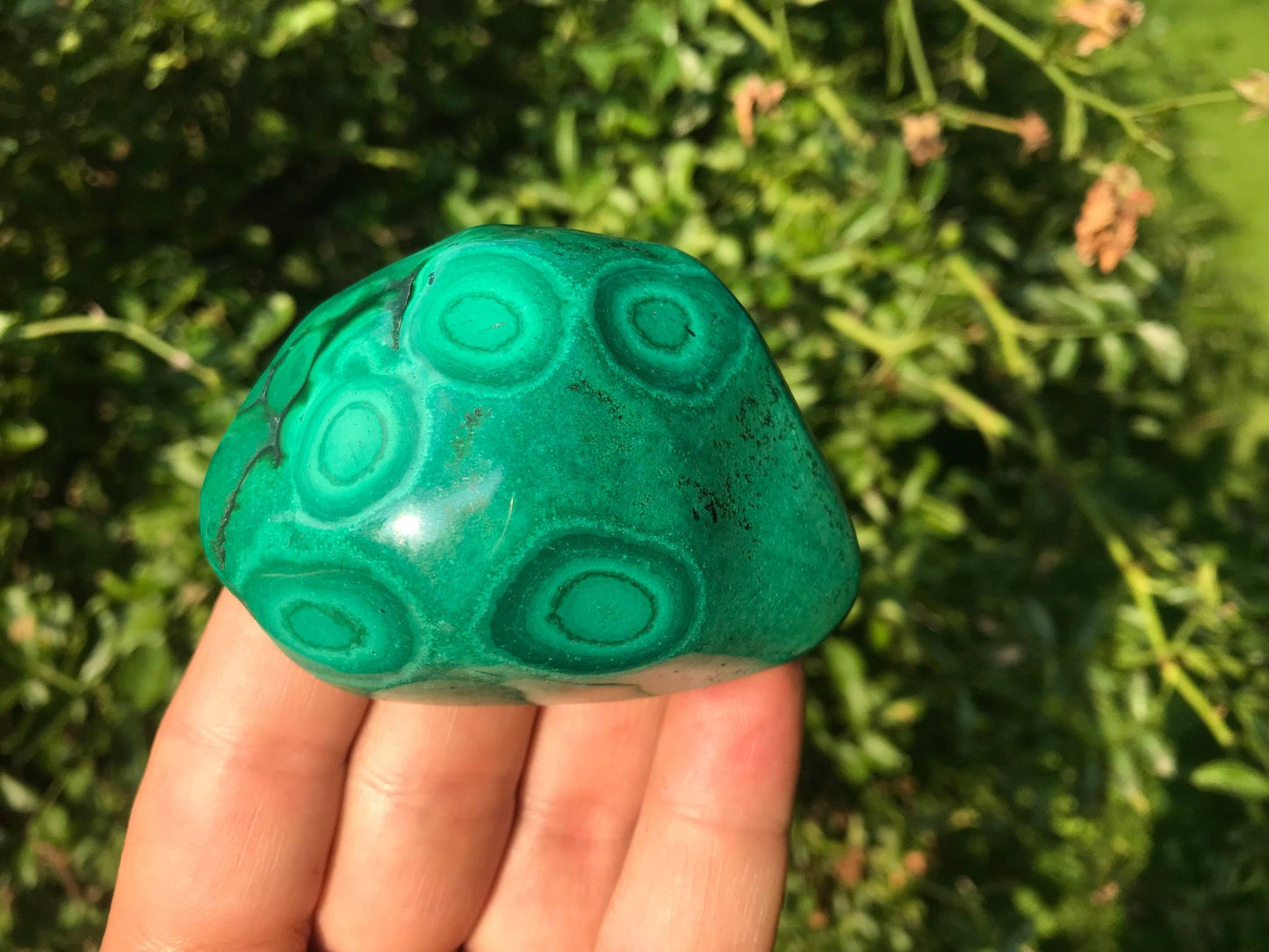 Malachite ~ Polished Specimen Freeform