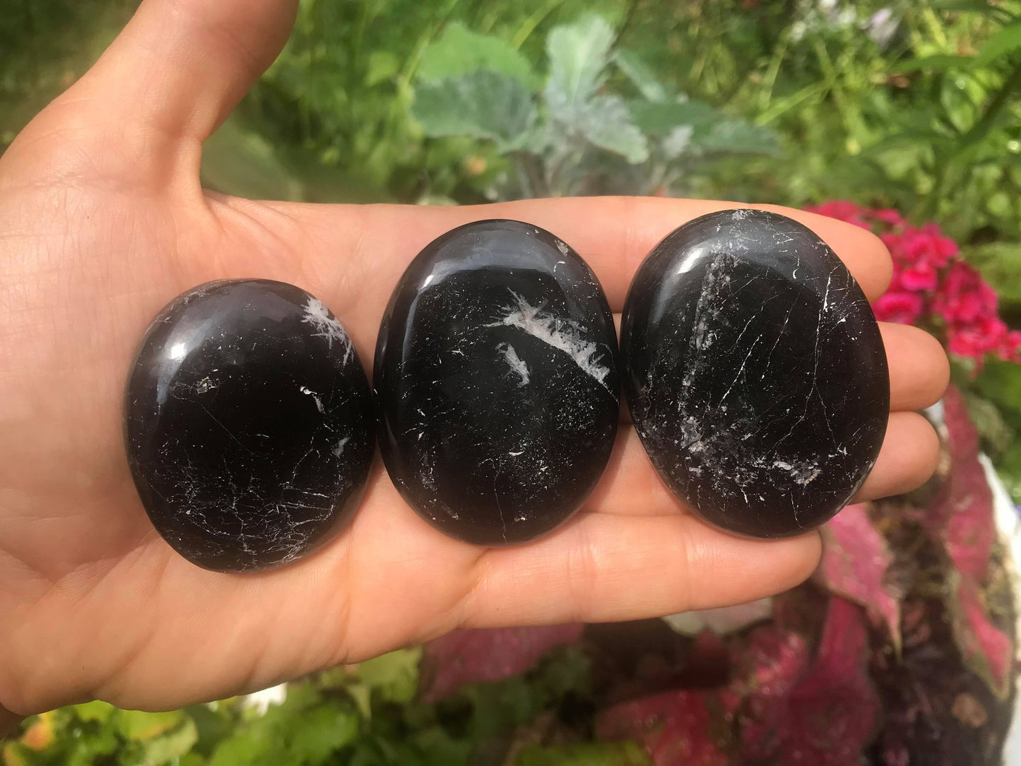 Black Tourmaline Palm Stones