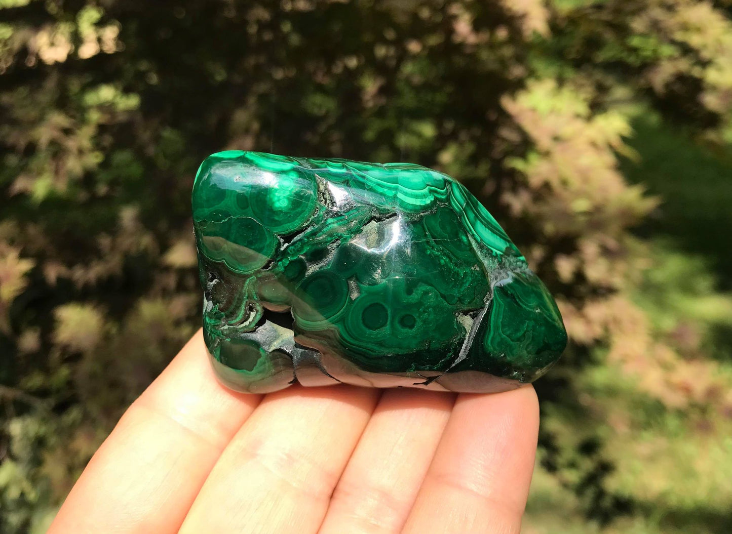 Malachite ~ Polished Specimen Freeform