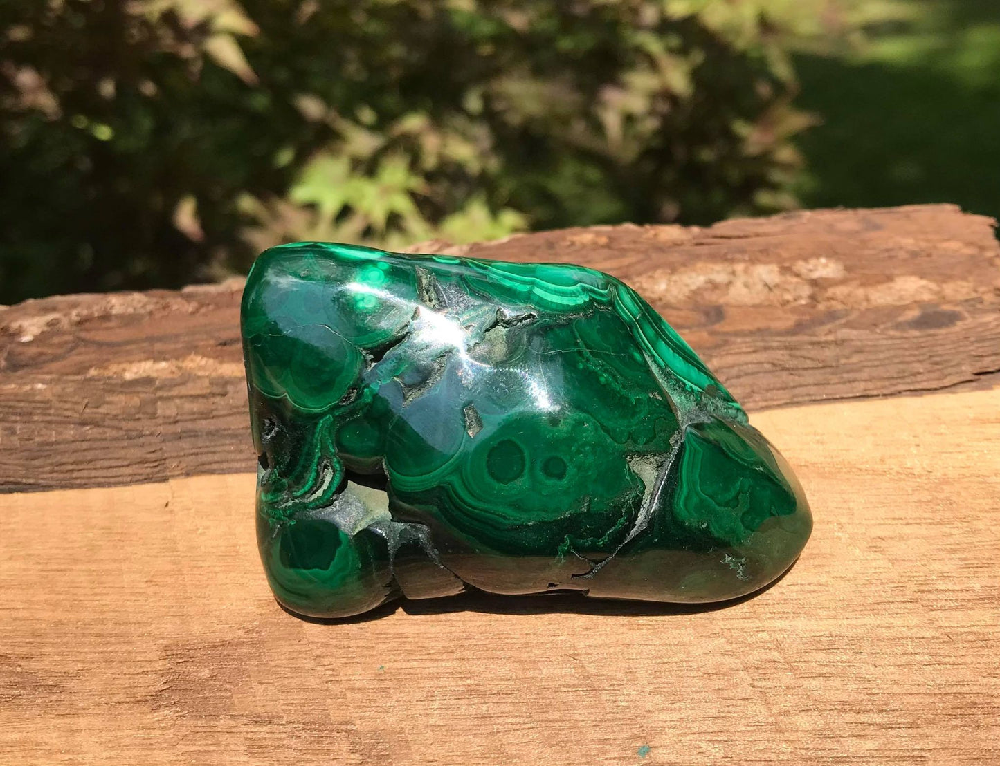 Malachite ~ Polished Specimen Freeform