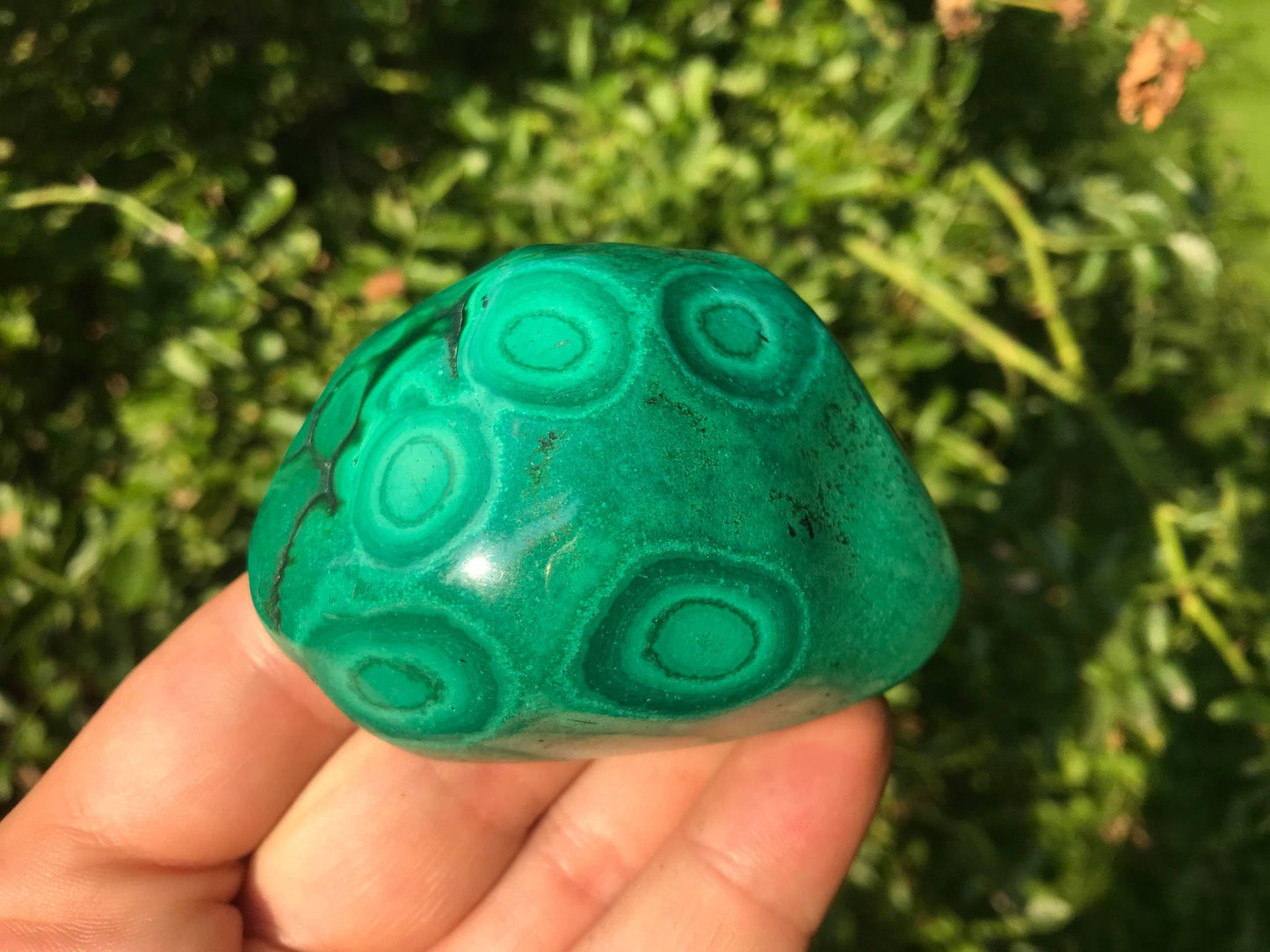 Malachite ~ Polished Specimen Freeform