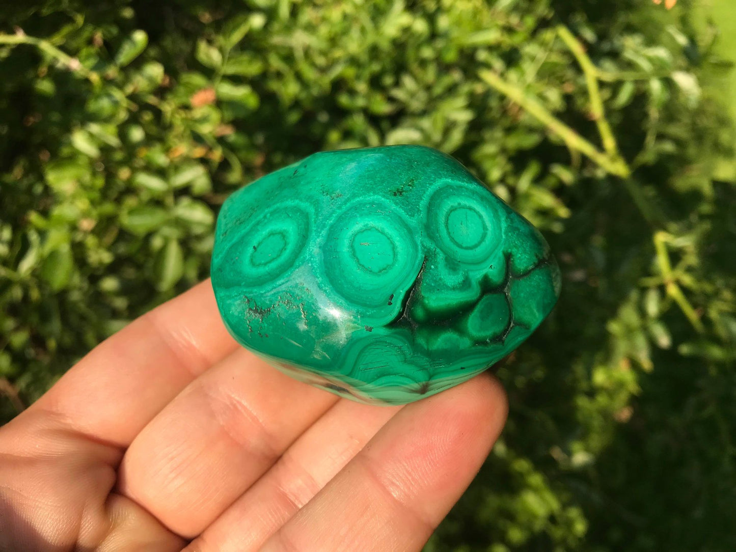 Malachite ~ Polished Specimen Freeform