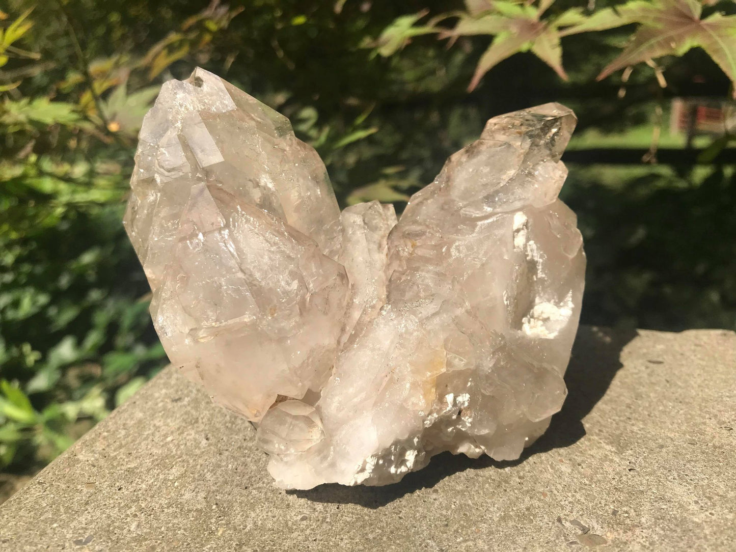 Smoky Elestial Quartz ~ Large