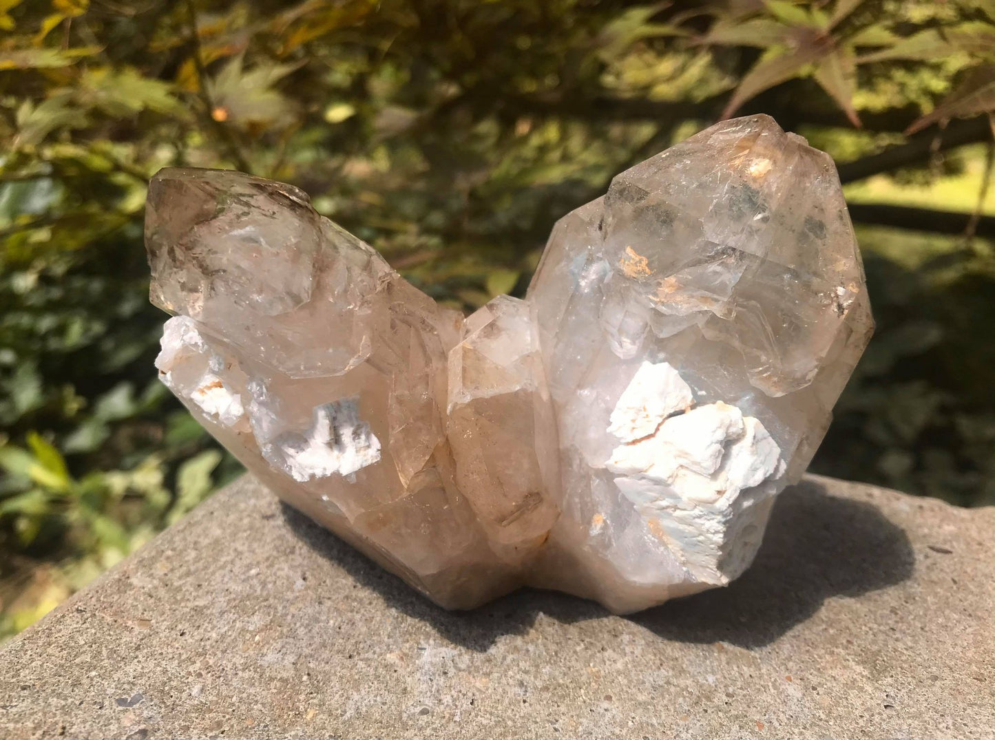 Smoky Elestial Quartz ~ Large