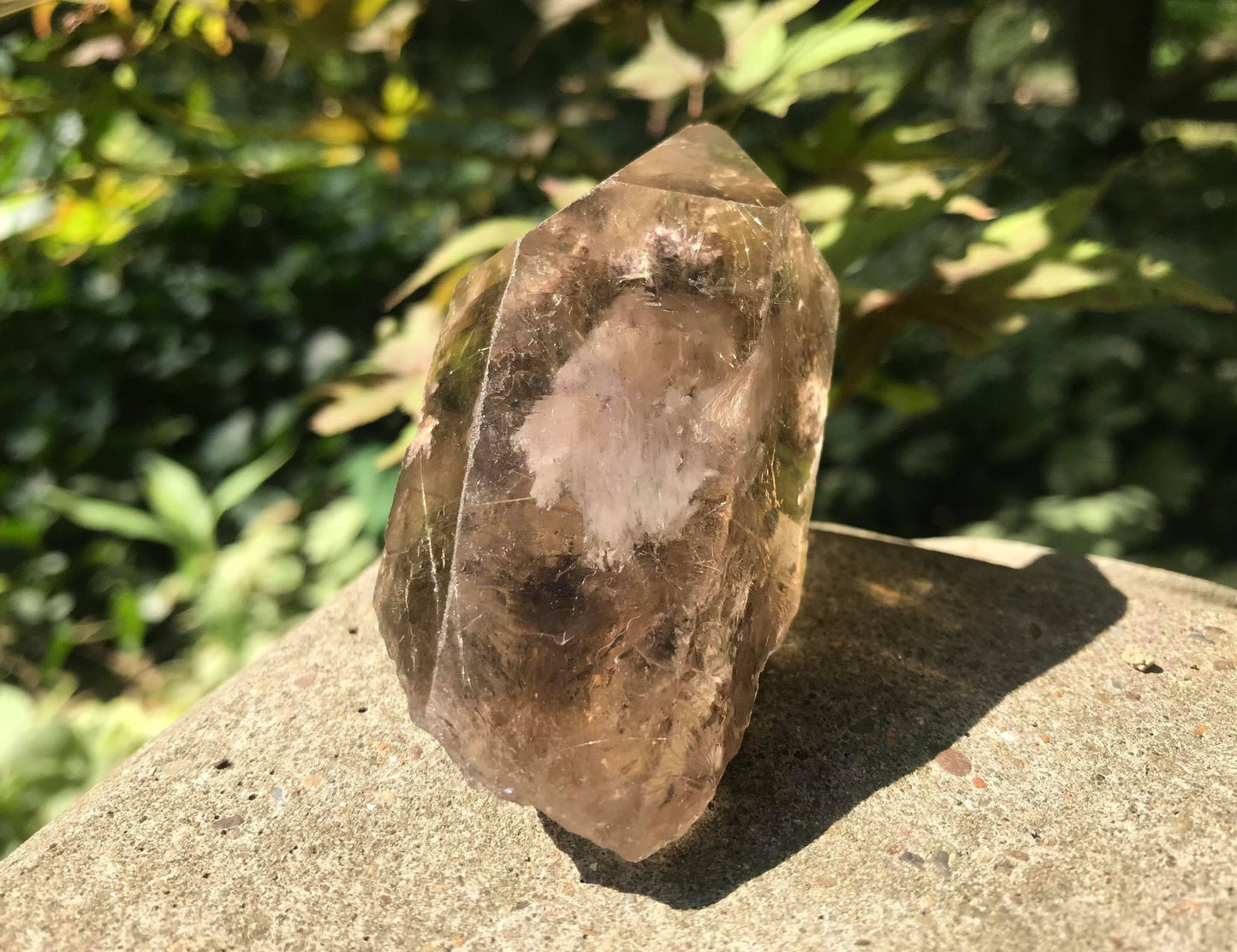 Rutilated Smoky Quartz Point with Chlorite