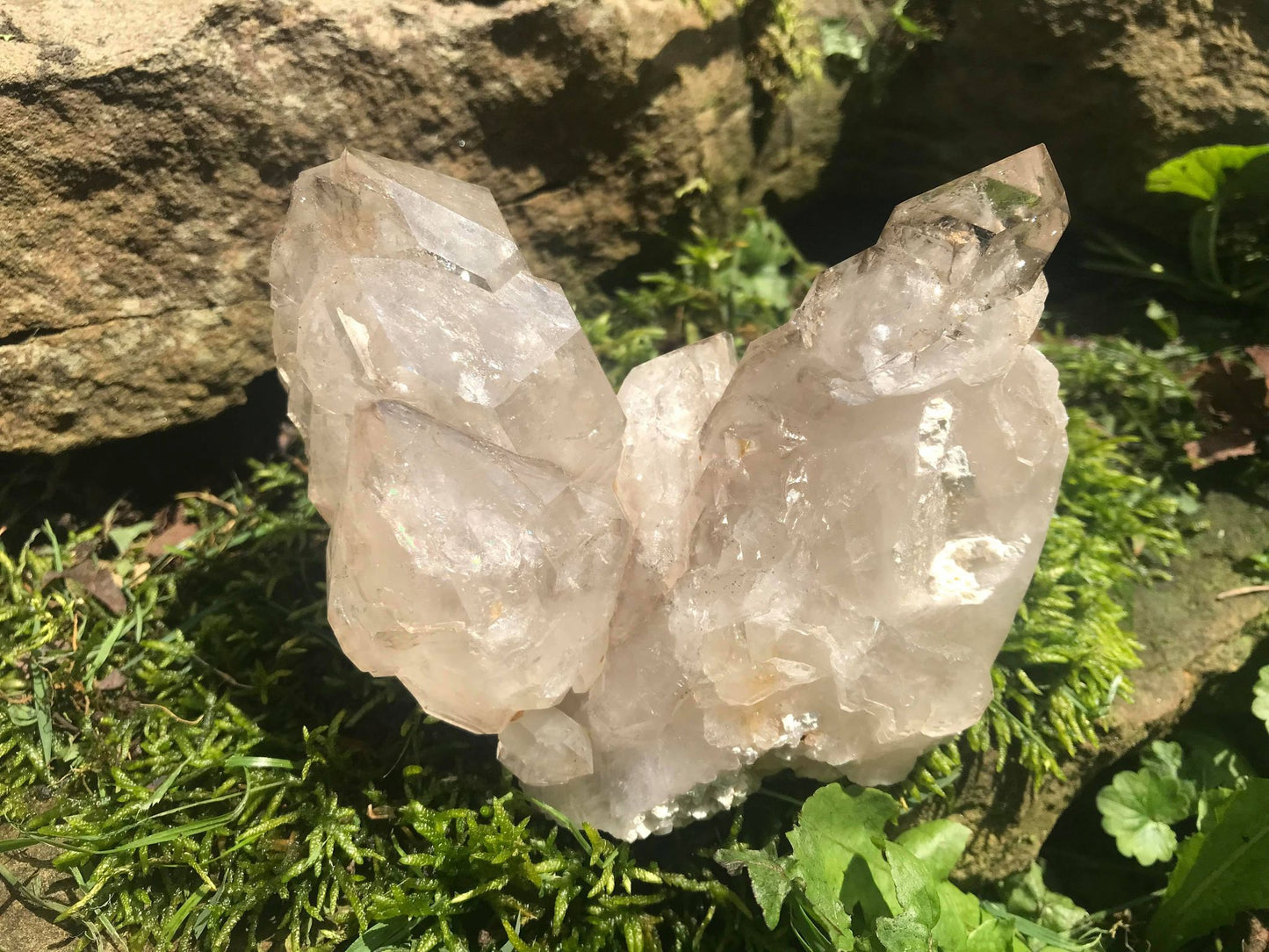 Smoky Elestial Quartz ~ Large