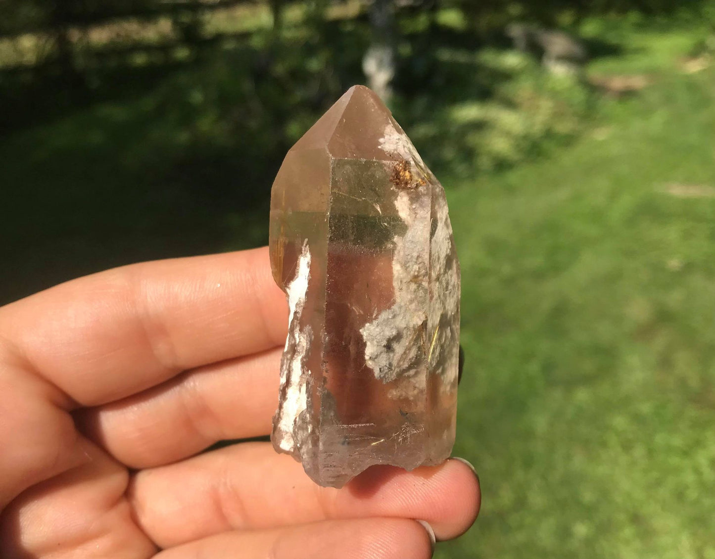 Rutilated Quartz Point with Chlorite