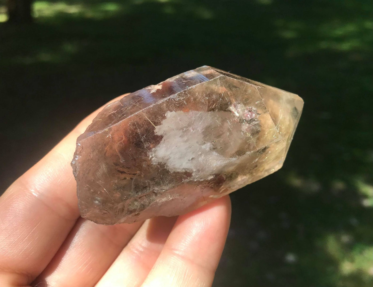 Rutilated Smoky Quartz Point with Chlorite