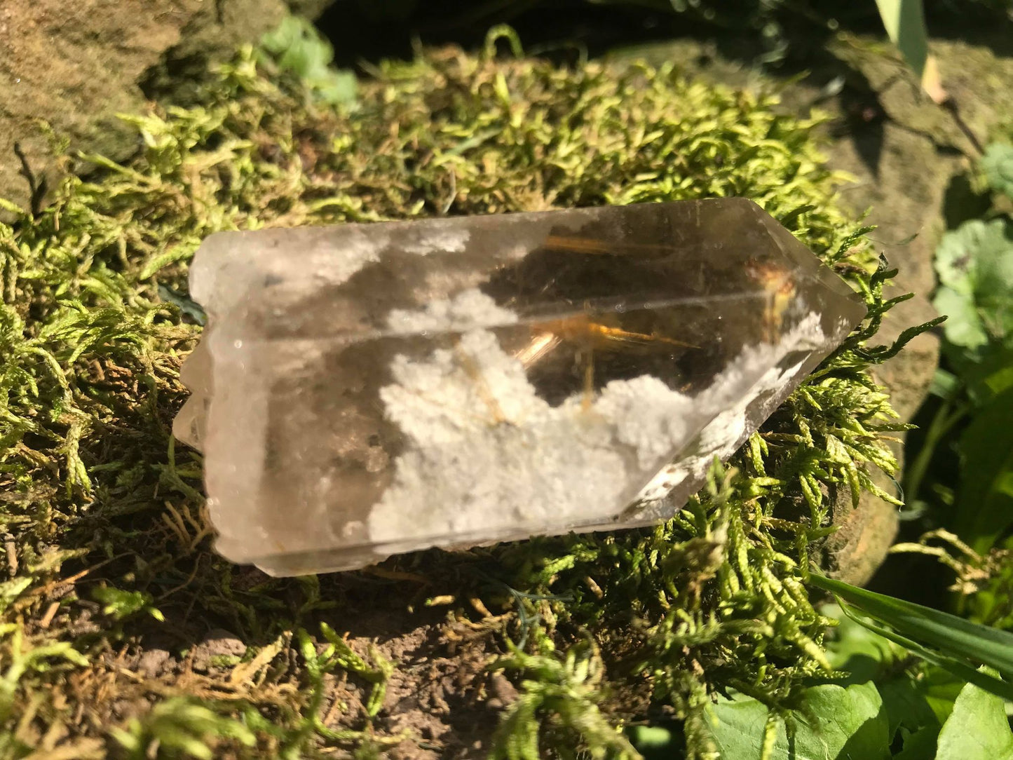 Rutilated Quartz Point with Chlorite