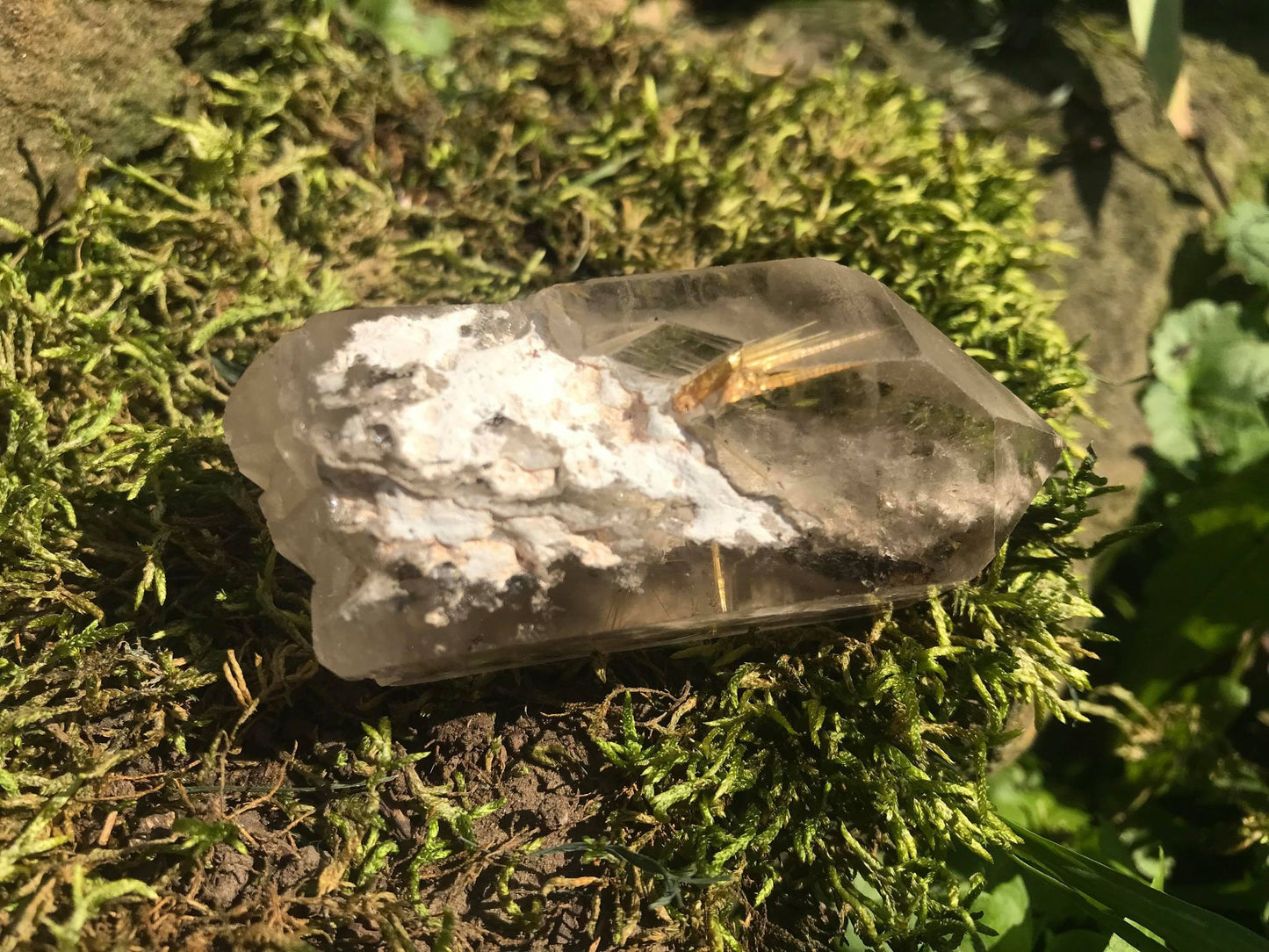 Rutilated Quartz Point with Chlorite