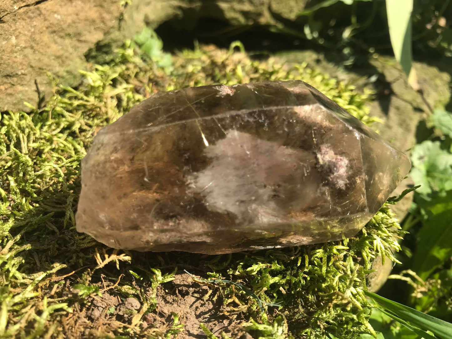 Rutilated Smoky Quartz Point with Chlorite