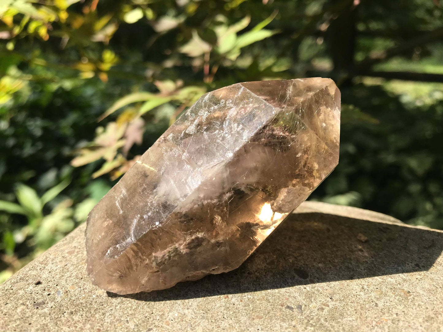 Rutilated Smoky Quartz Point with Chlorite