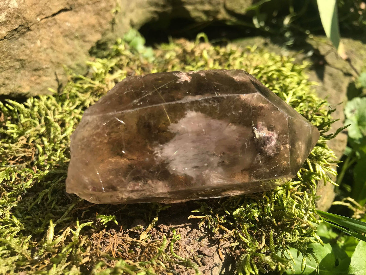 Rutilated Smoky Quartz Point with Chlorite