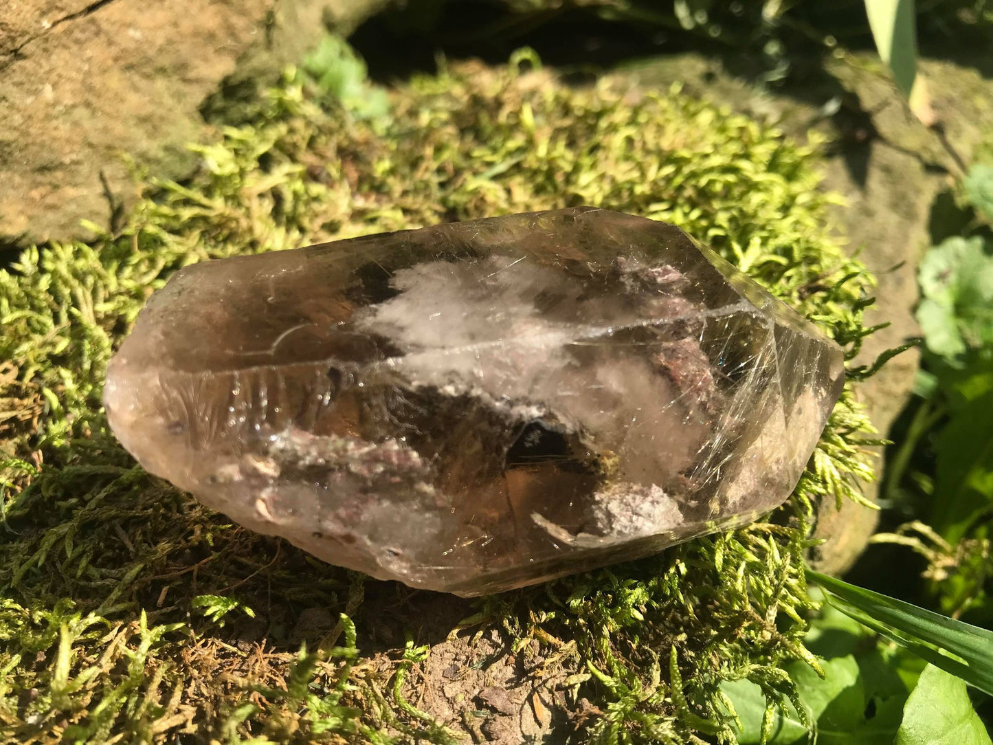 Rutilated Smoky Quartz Point with Chlorite