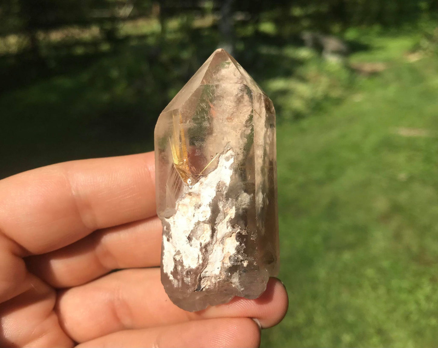 Rutilated Quartz Point with Chlorite