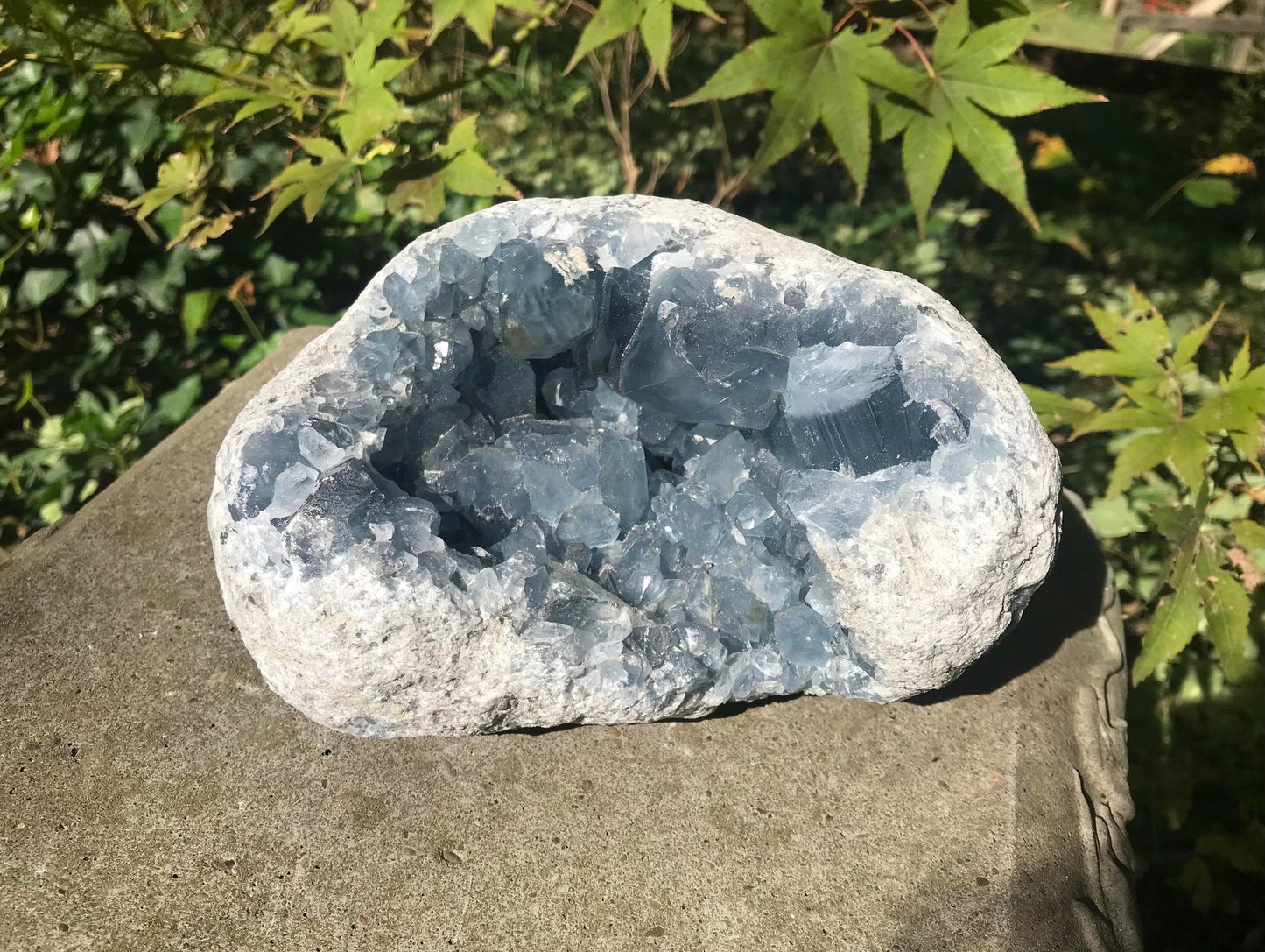 Celestite Geode ~ Madagascar