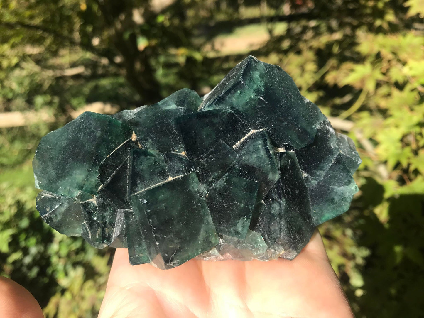 Green Fluorite Specimen ~ Madagascar