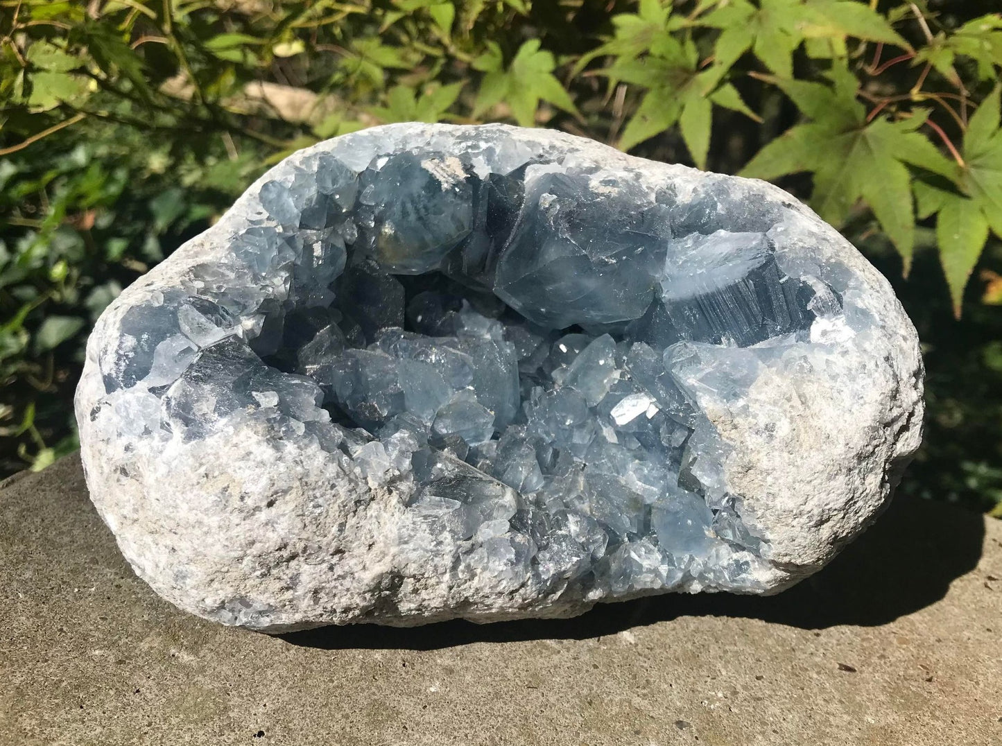 Celestite Geode ~ Madagascar