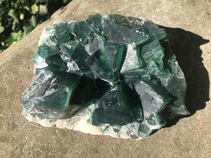 Green Fluorite Specimen ~ Madagascar