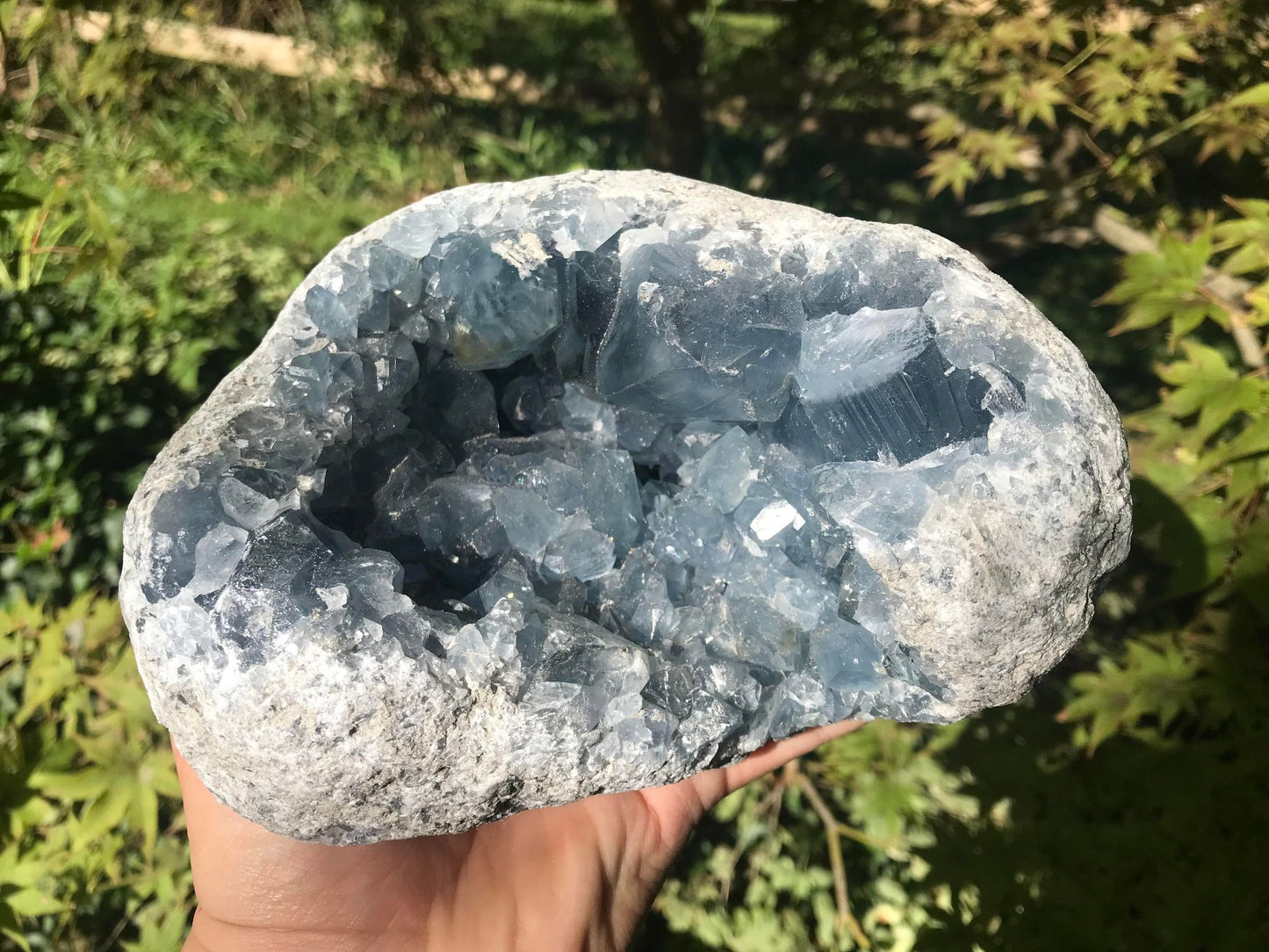 Celestite Geode ~ Madagascar