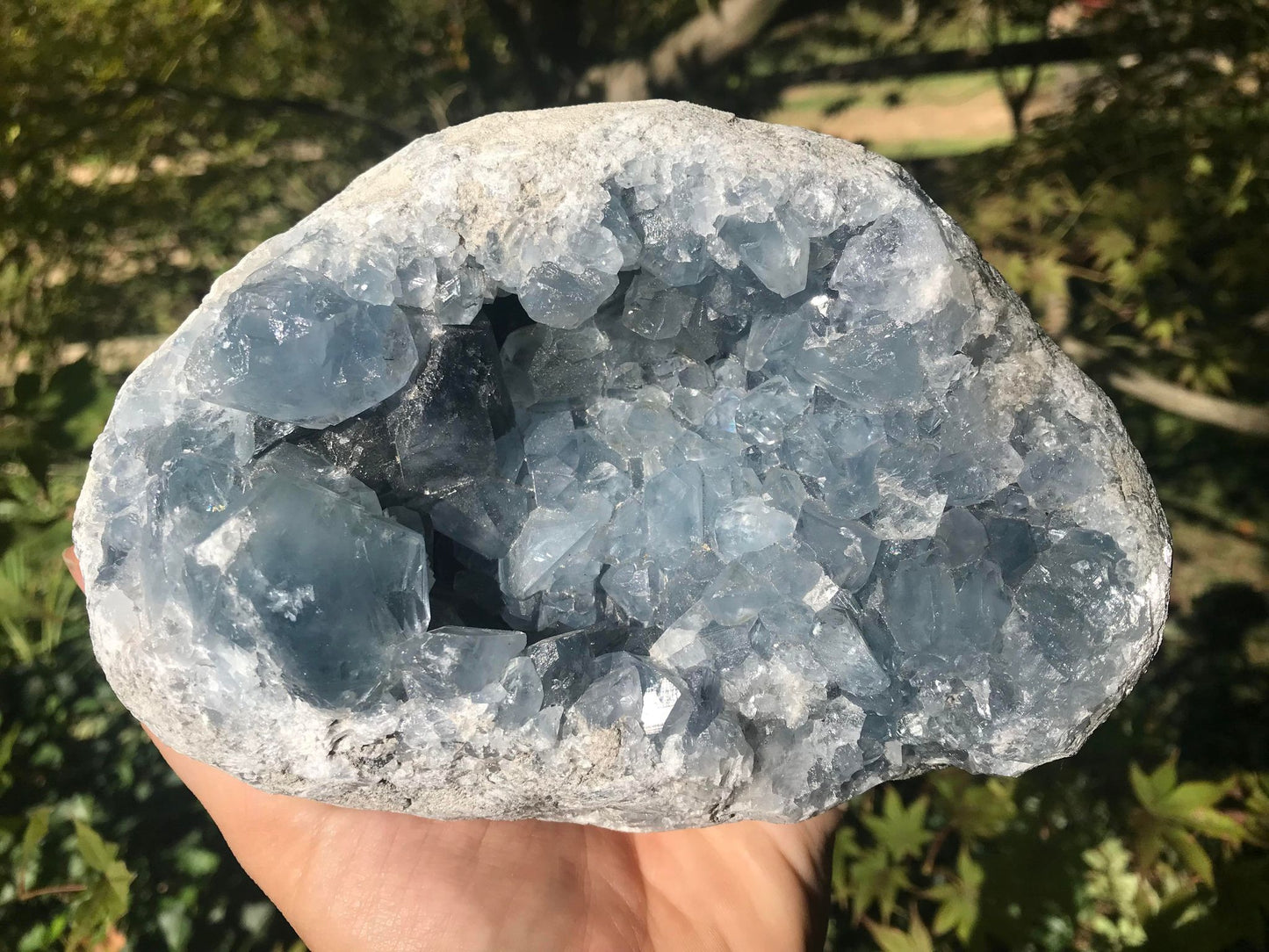 Celestite Geode ~ Madagascar