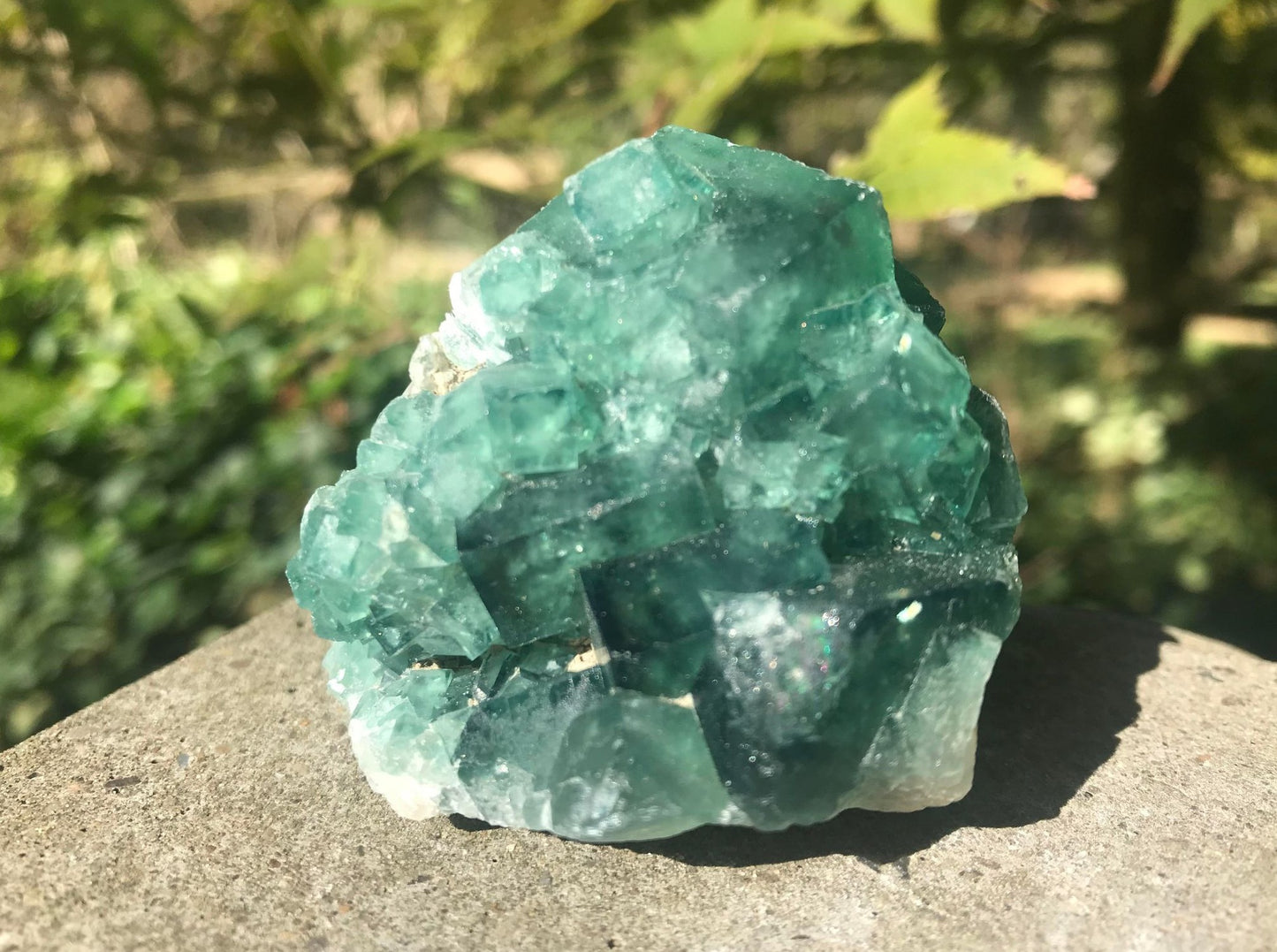 Green Fluorite Specimen ~ Madagascar