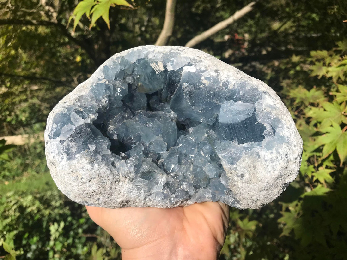 Celestite Geode ~ Madagascar