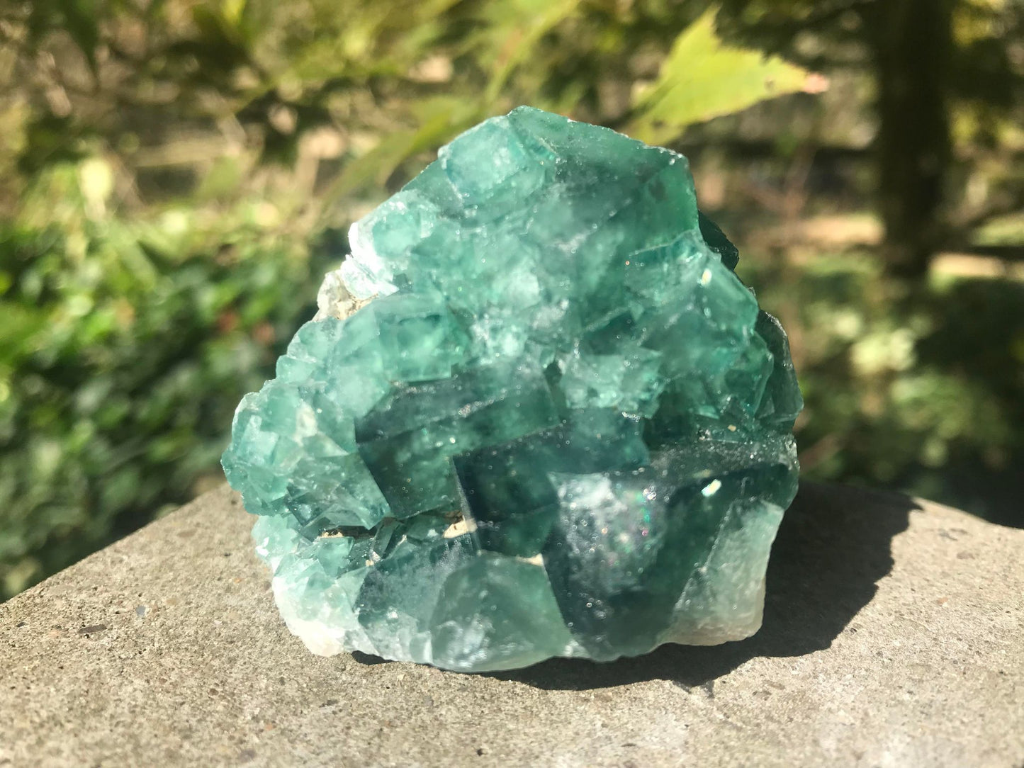 Green Fluorite Specimen ~ Madagascar