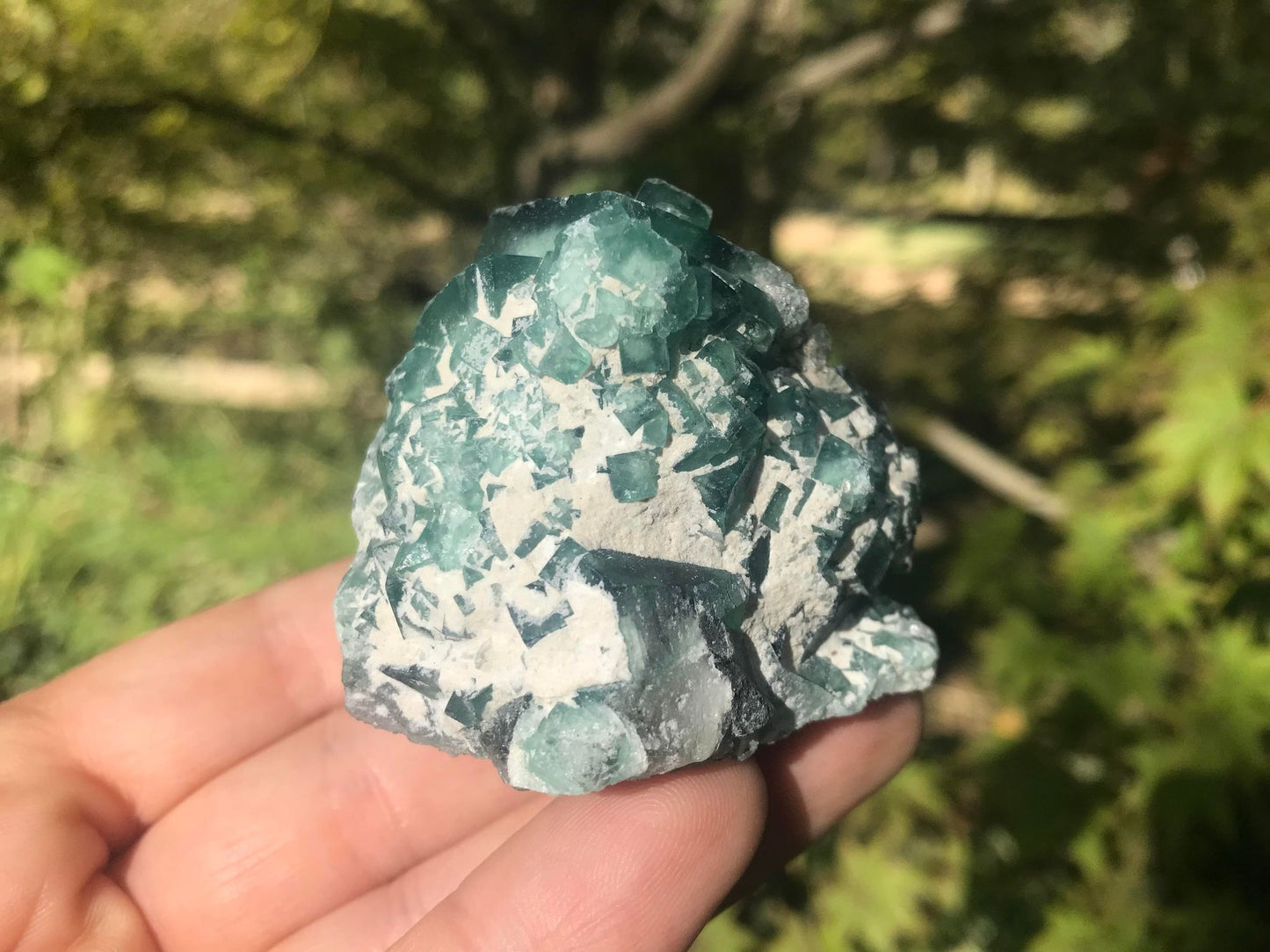 Green Fluorite Specimen ~ Madagascar