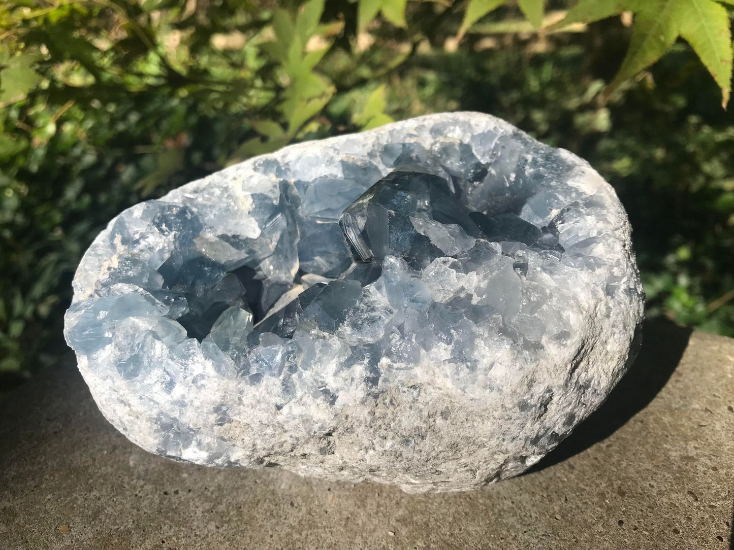 Celestite Geode ~ Madagascar