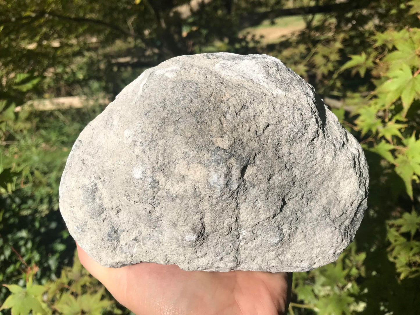 Celestite Geode ~ Madagascar