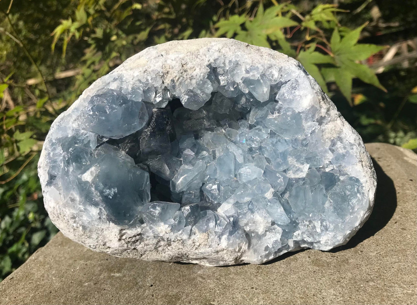 Celestite Geode ~ Madagascar