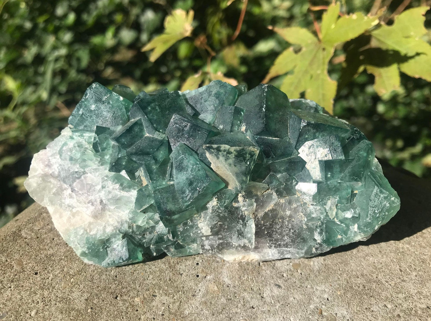 Green Fluorite Specimen ~ Madagascar