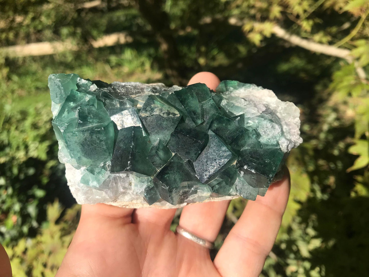 Green Fluorite Specimen ~ Madagascar