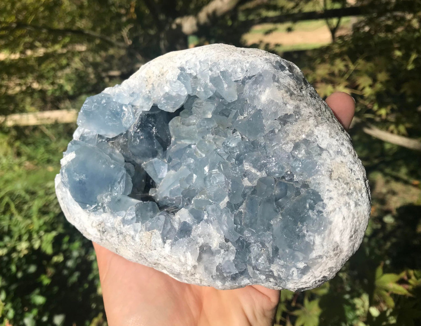 Celestite Geode ~ Madagascar