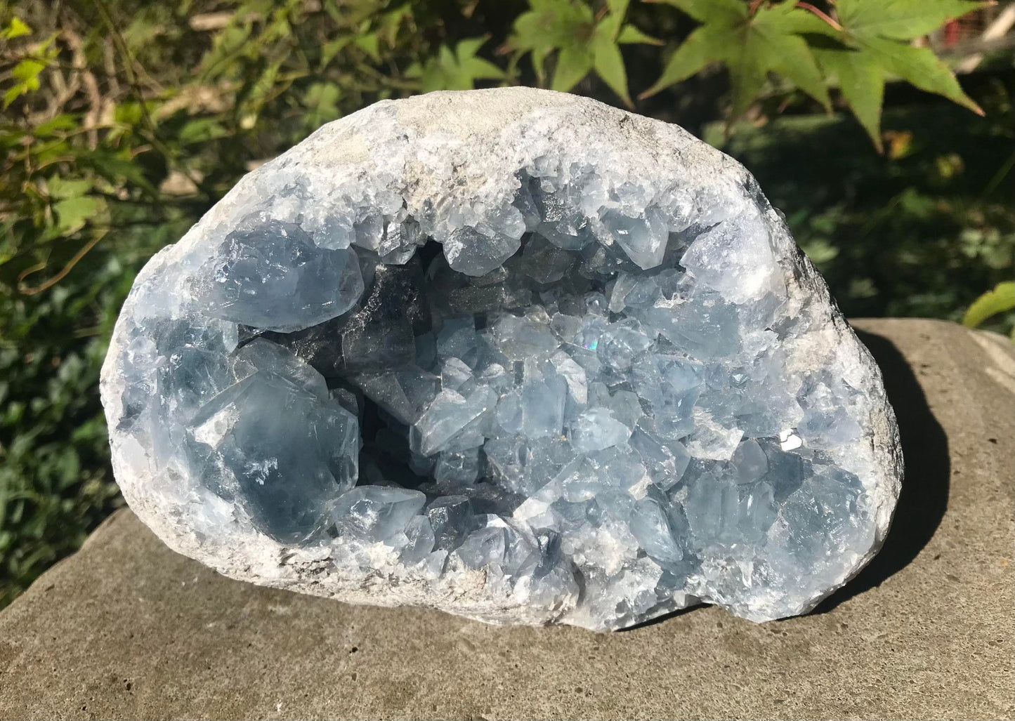 Celestite Geode ~ Madagascar