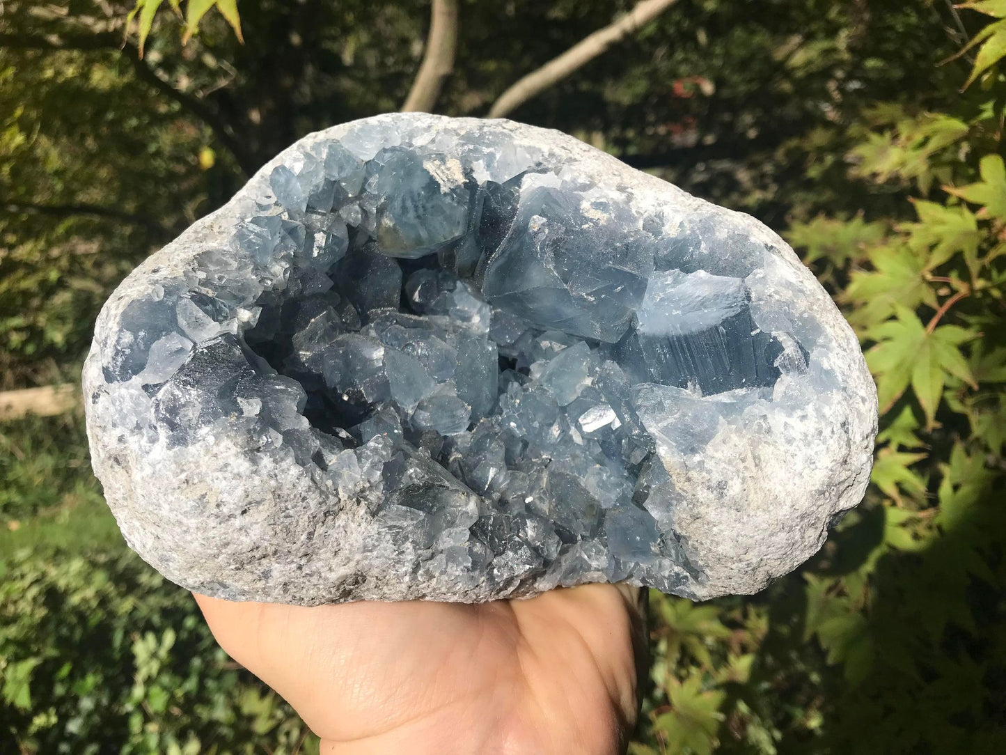 Celestite Geode ~ Madagascar