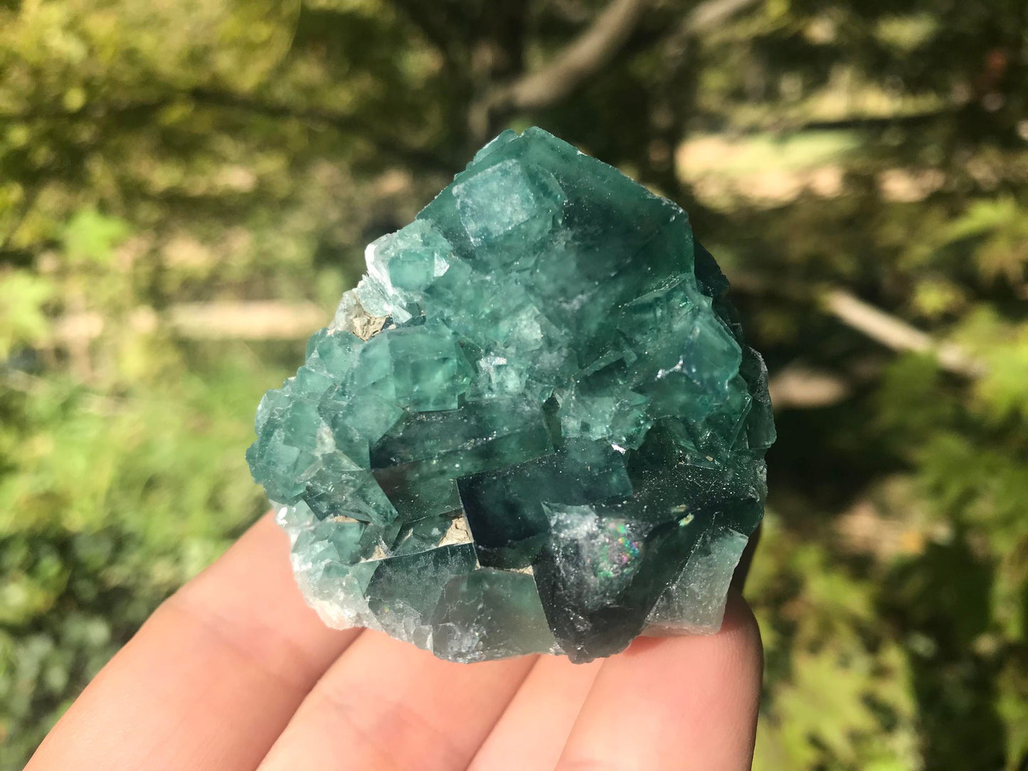 Green Fluorite Specimen ~ Madagascar