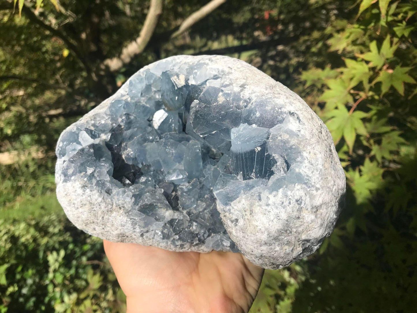 Celestite Geode ~ Madagascar